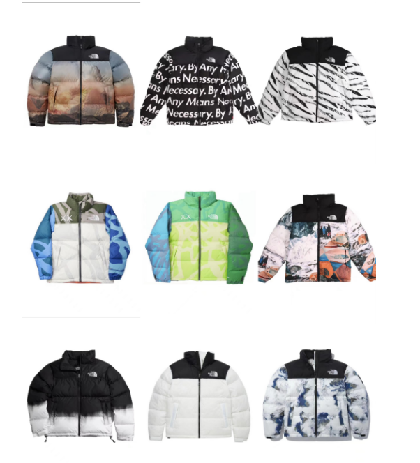 The north face outdoor windproof  Jacket  